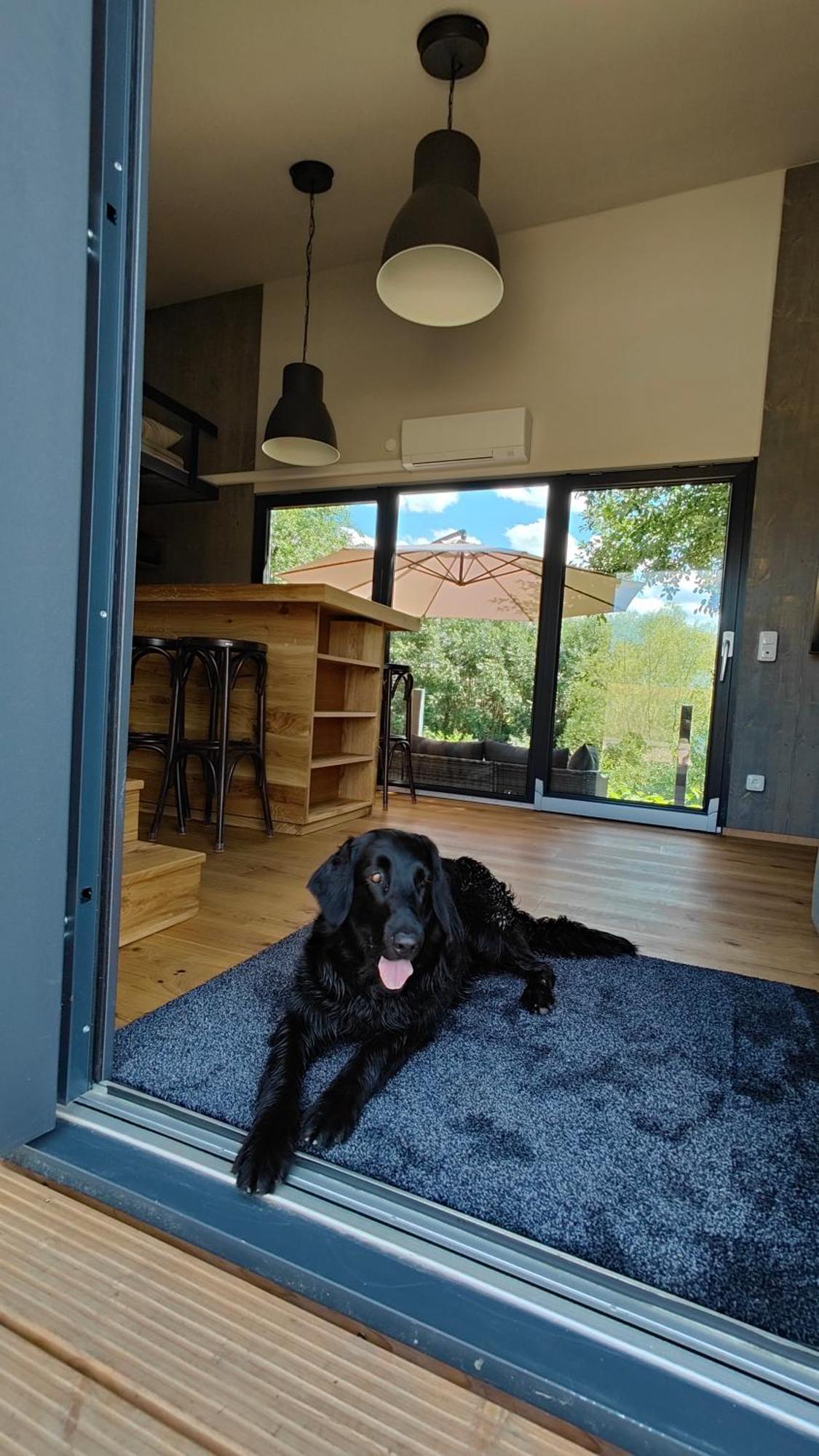 Tinyhousebeidresden 3 Fuer 2 - 7 Personen, Naehe Saechsische Schweiz, Dresden, Mit Badeteich Villa Grossharthau Luaran gambar