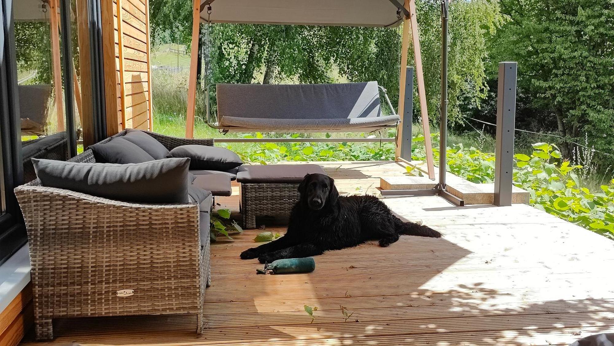 Tinyhousebeidresden 3 Fuer 2 - 7 Personen, Naehe Saechsische Schweiz, Dresden, Mit Badeteich Villa Grossharthau Luaran gambar